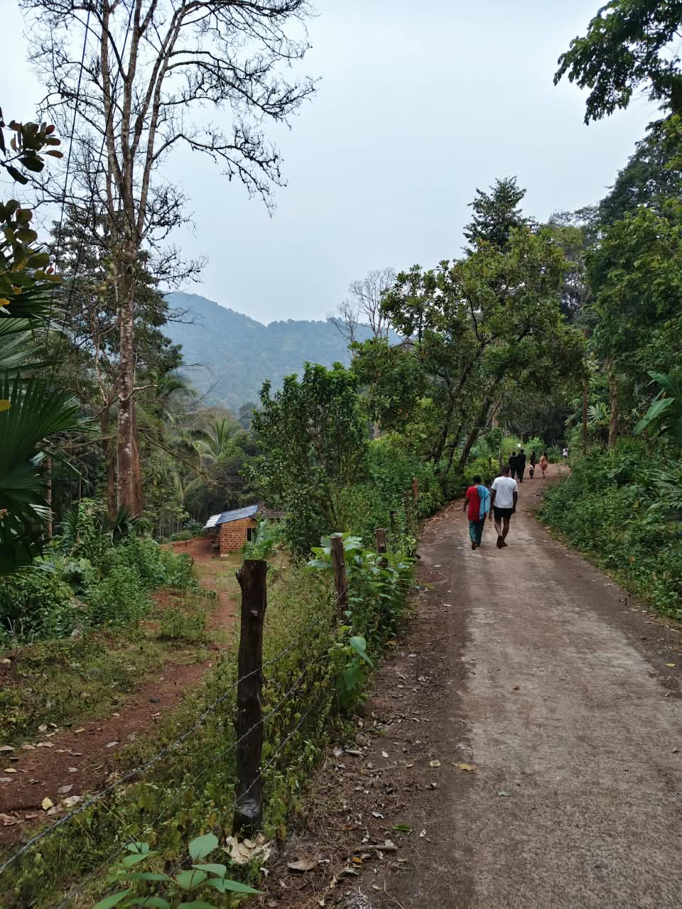 Camp participants trekking along a serene rural trail through the lush green forests of the Western Ghats
